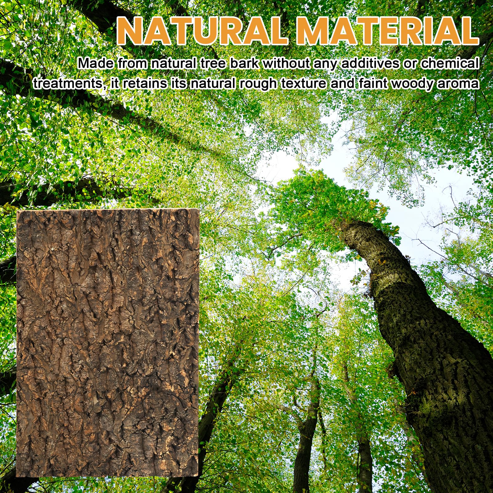 Sporgo Fondo de Corcho para Terrario: 3 Piezas de Aspecto Natural de Corteza de Árbol, Alfombra de Escalada para Reptiles, Fondo de Acuario de Corteza de Árbol, Decoración de Pared, para Tortuga