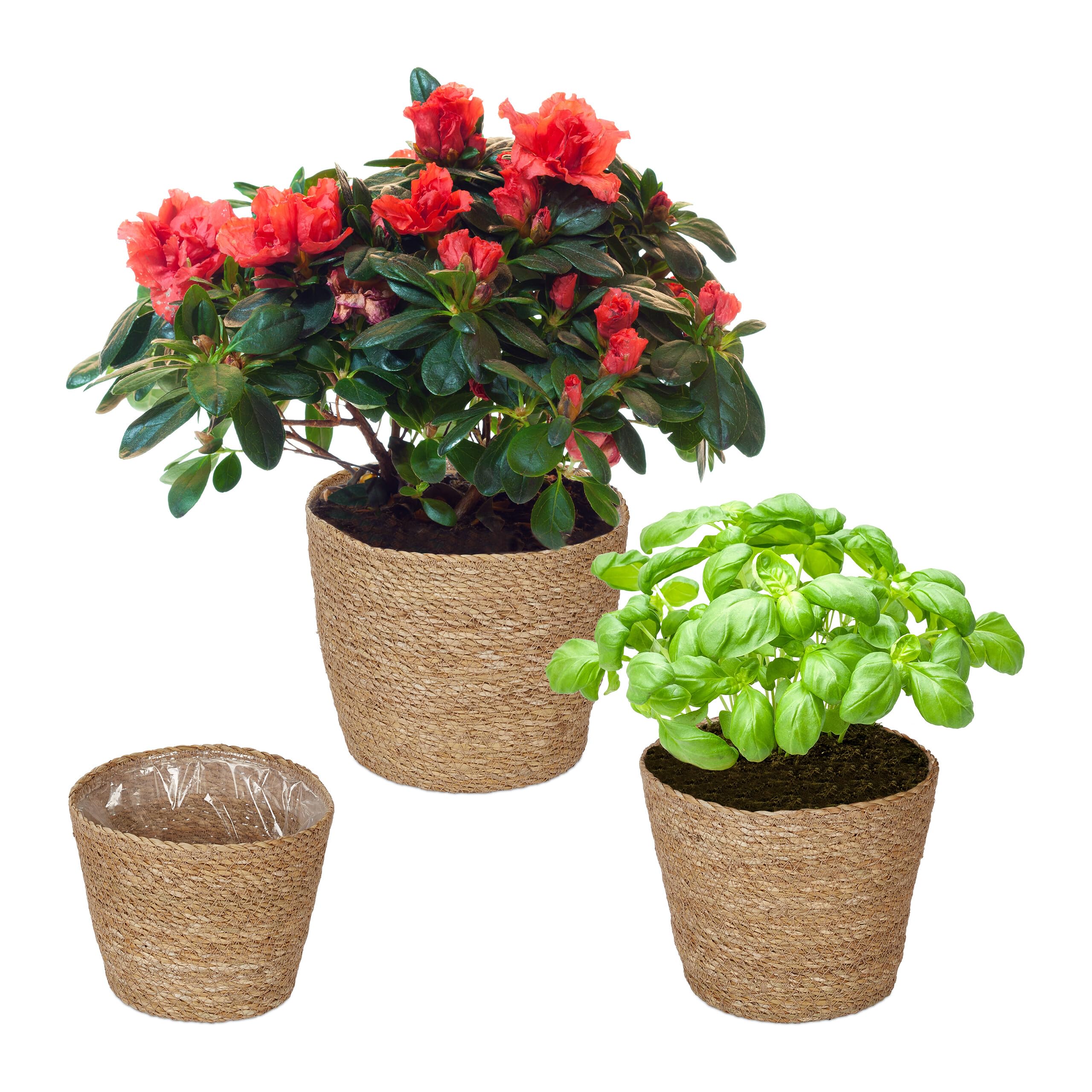 Relaxdays Pot de Fleur en zostère, Lot de 3, pour Herbes, Plantes & Fleurs, 3 Tailles, Cache-Pot, Film Plastique, Nature