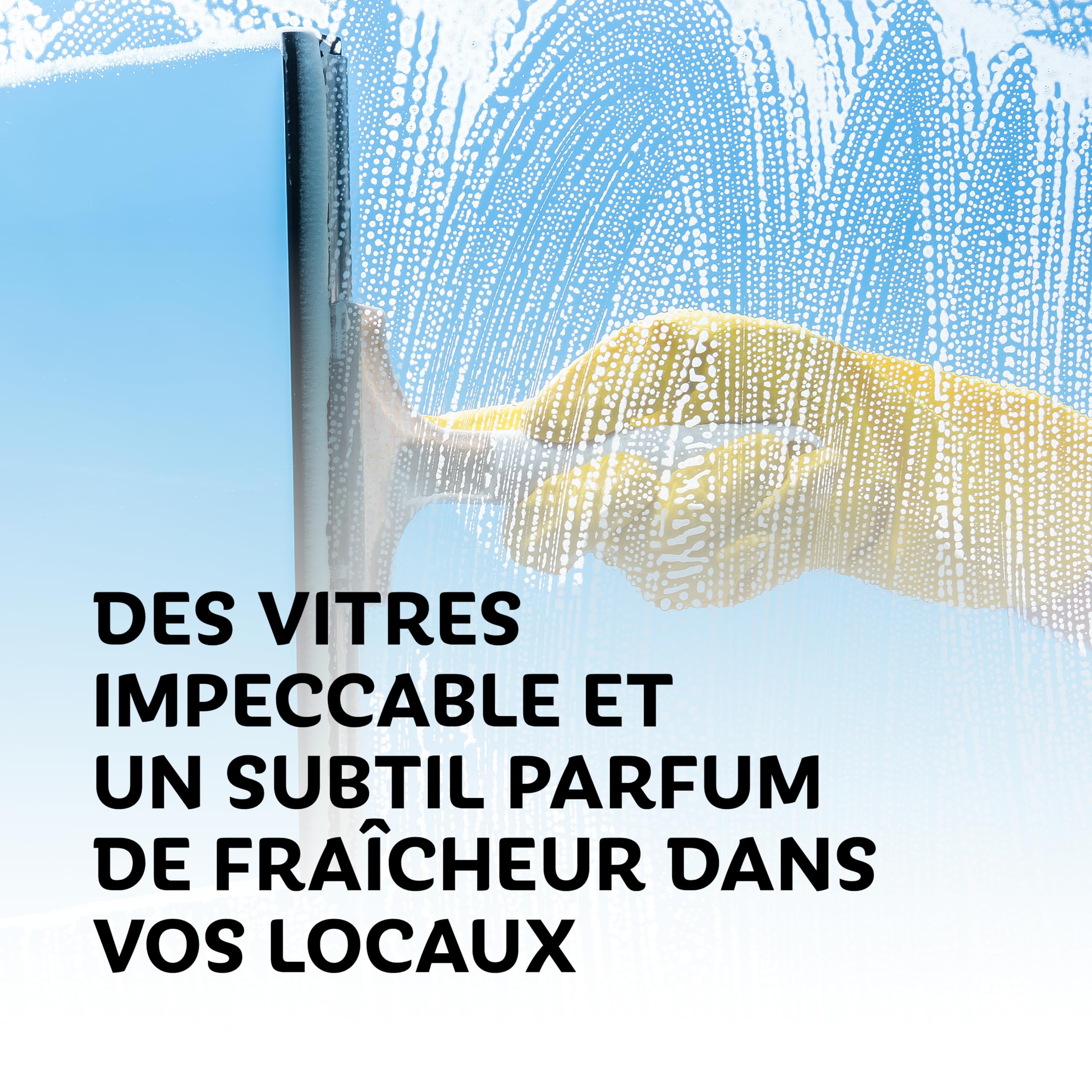 LPF LE PETIT FOURNISSEUR - Nettoyant Vitres Spray 1L - Produit Vitres Sans Trace - Action Anti-Buee Dégraissante - Surfaces Verre Miroir Plexiglas - Prêt à l'Emploi - Lot de 12