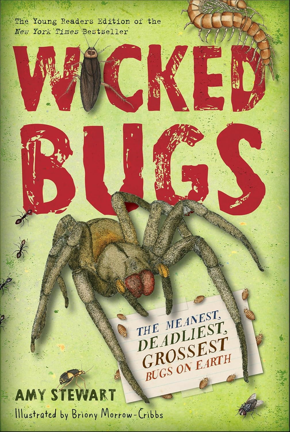 Wicked Bugs: The Meanest, Deadliest, Grossest Bugs on Earth