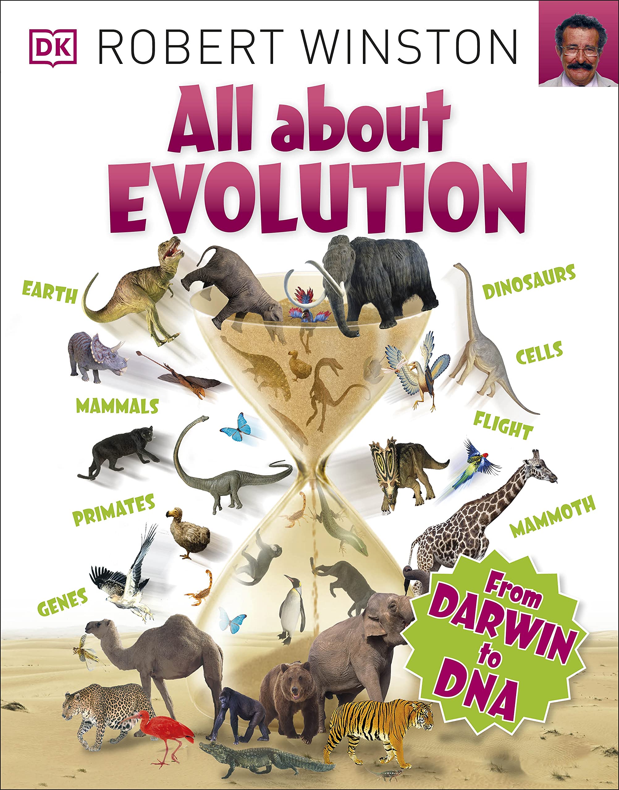 All About Evolution (Big Questions) Paperback – 2 May 2016