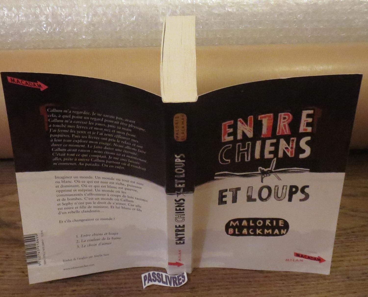 Entre Chien Et Loup Roman