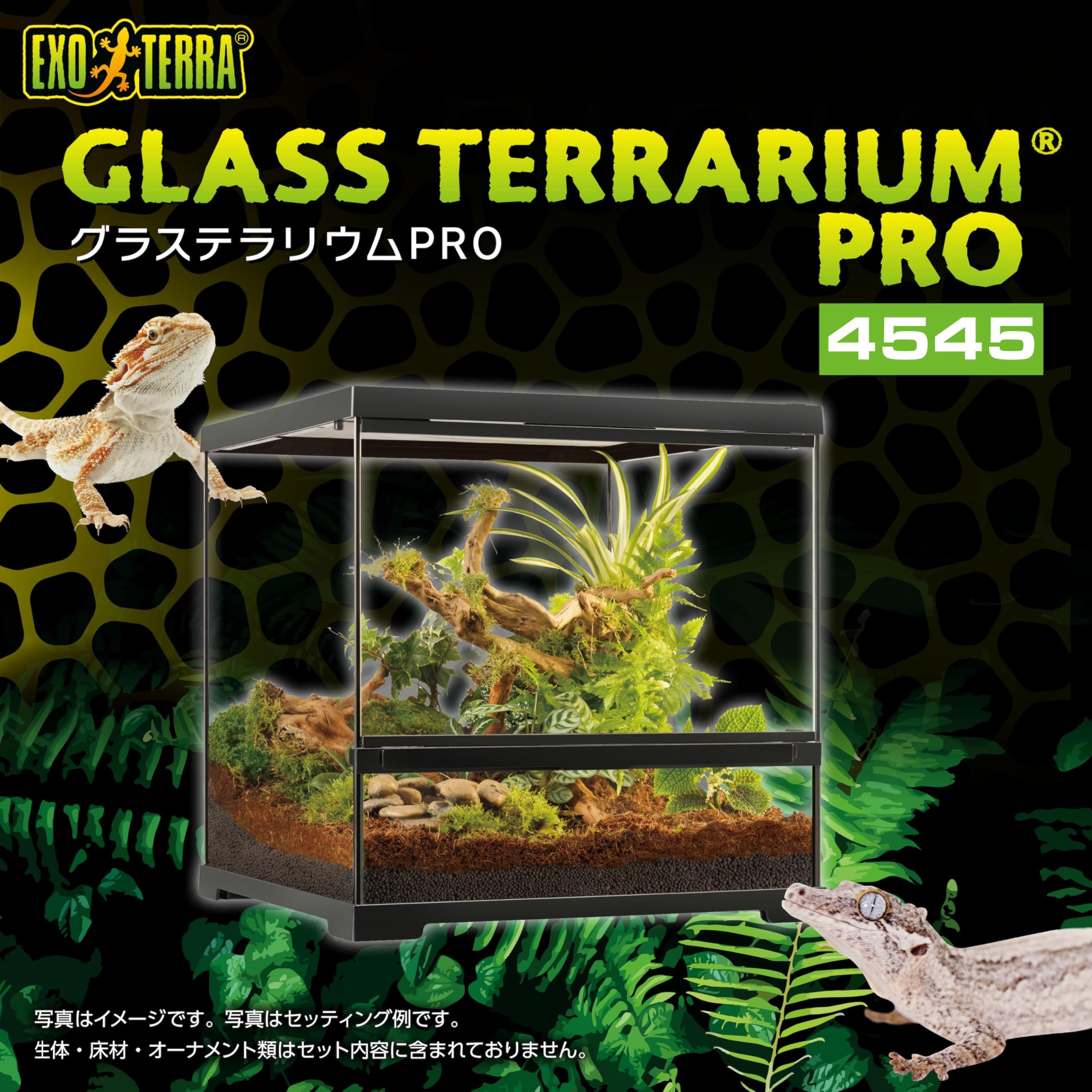 Amazon.co.jp: エキゾテラ EXOTERRA グラステラリウムPRO4545 PT4404
