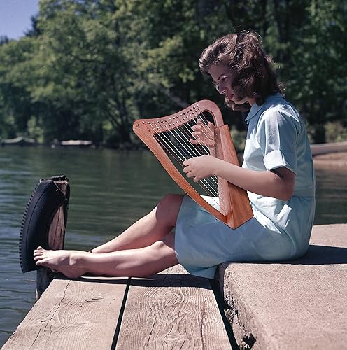 Miniatura 7 de Harp, AKLOT - Arpa de caoba de 15 cuerdas de 22 pulgadas de altura para adultos profesionales principiantes con llave de afinación, bolsa de