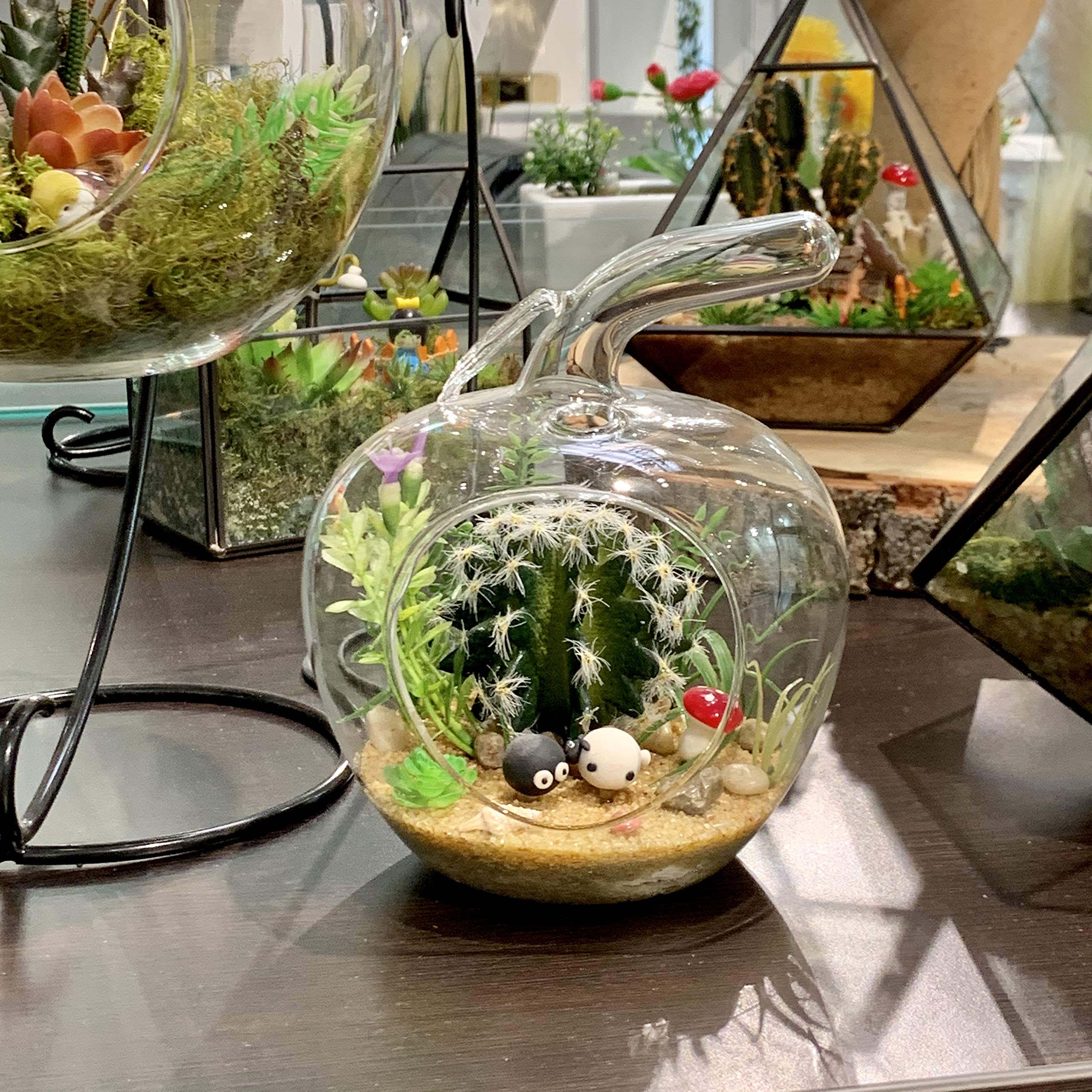 Amazon.com: WGV Planter Terrarium, Width 5.5", Height 6.5", Clear Unique  Apple Glass Vase Conatiner, DIY Planter Votive Candle Holder for Home  Office Garden Decor, 1 Piece : Patio, Lawn & Garden