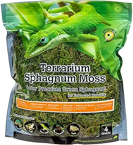 Galápagos (05213) Terrarium Green Sphagnum Moss, Natural, 4 Quart
