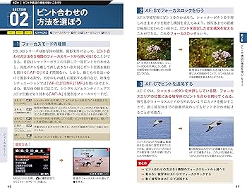 今すぐ使えるかんたんmini SONY RX100 基本&応用撮影ガイド