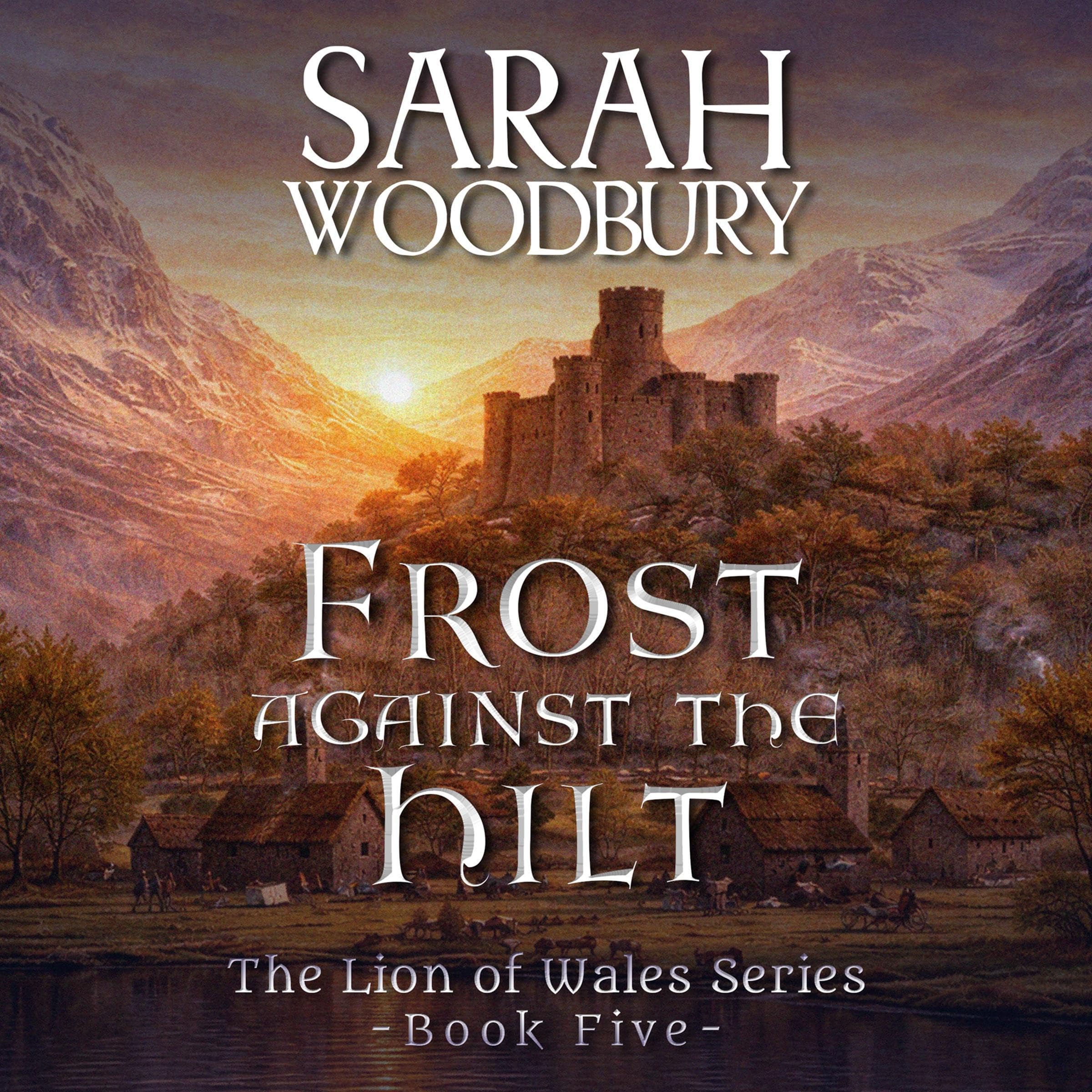 Cover art for Frost Against the Hilt