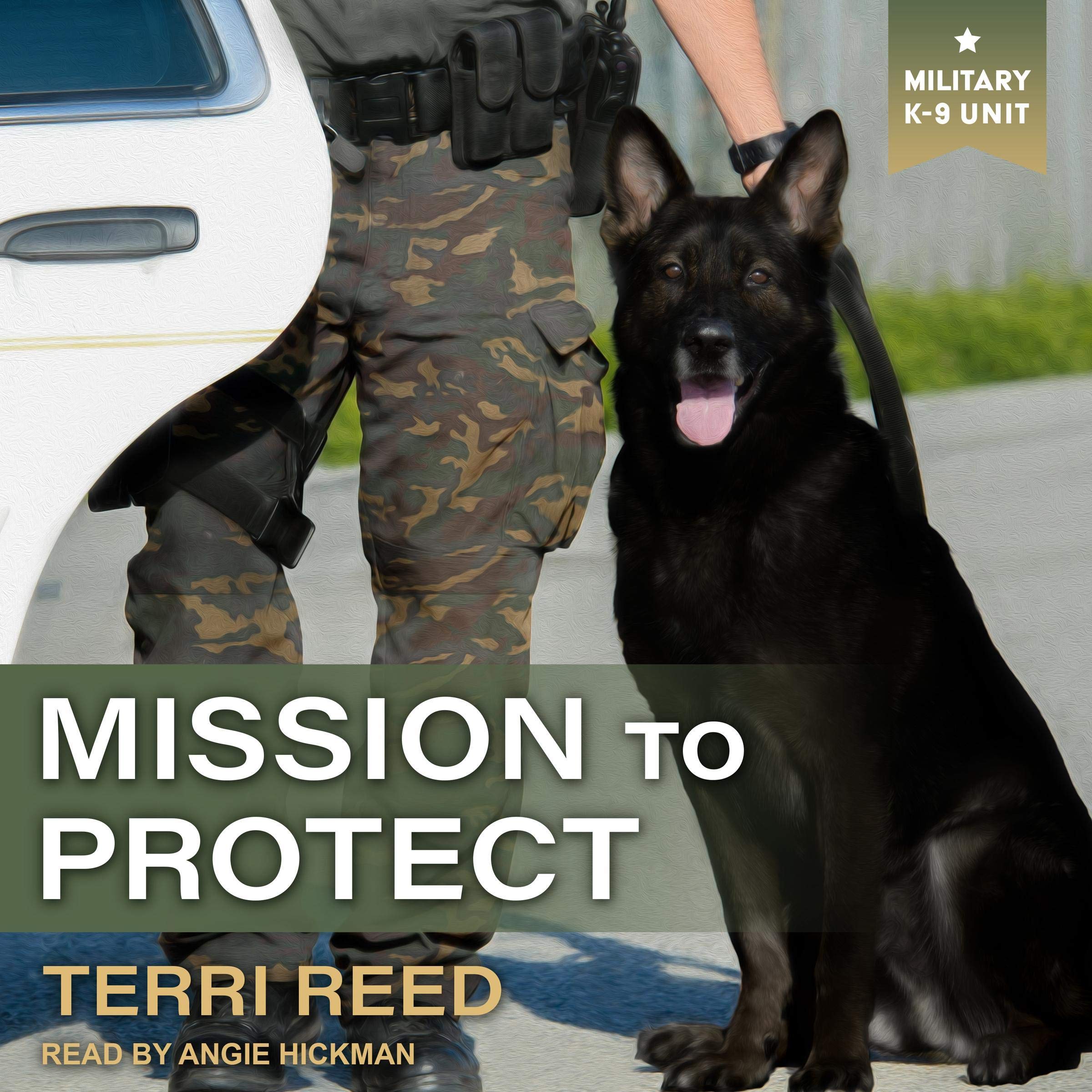Cover art for Mission to Protect