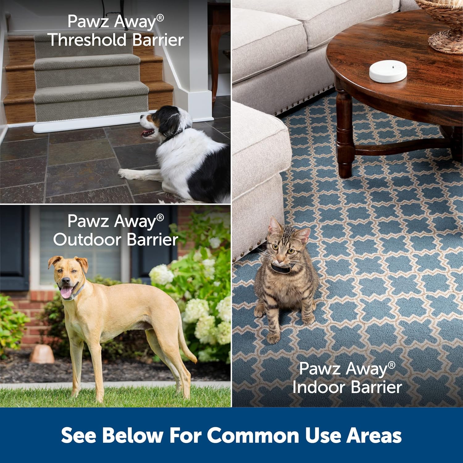 PetSafe Pawz Away Outdoor Pet Barrier Transmitter Rock Design