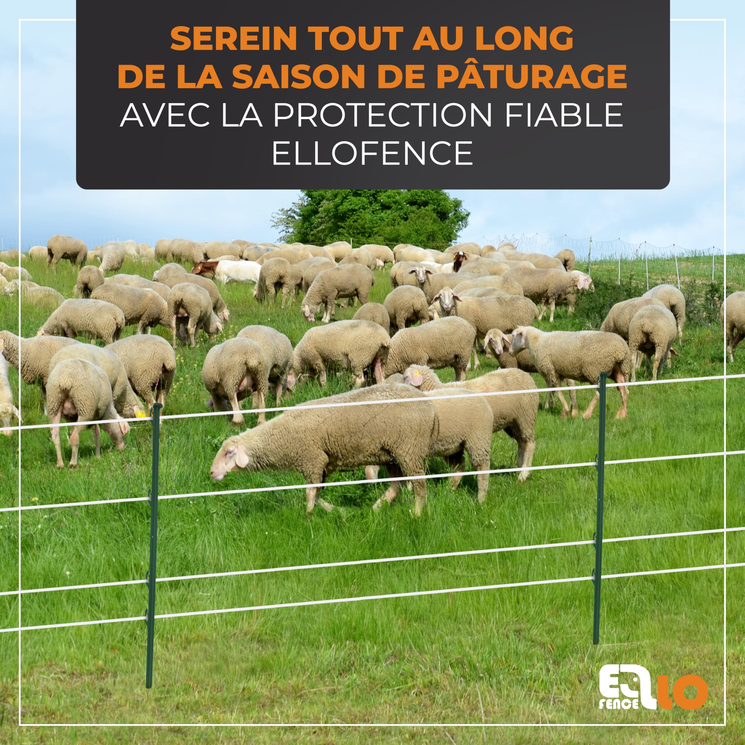 Ruban clôture électrique 20mm x 200m – Ruban conducteur robuste et résistant UV – Accessoire fiable pour pâturage et enclos animaux