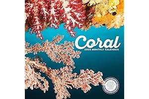 Coral Reef Wall Calendar 2025: Dive into the Enchanting Underwater World