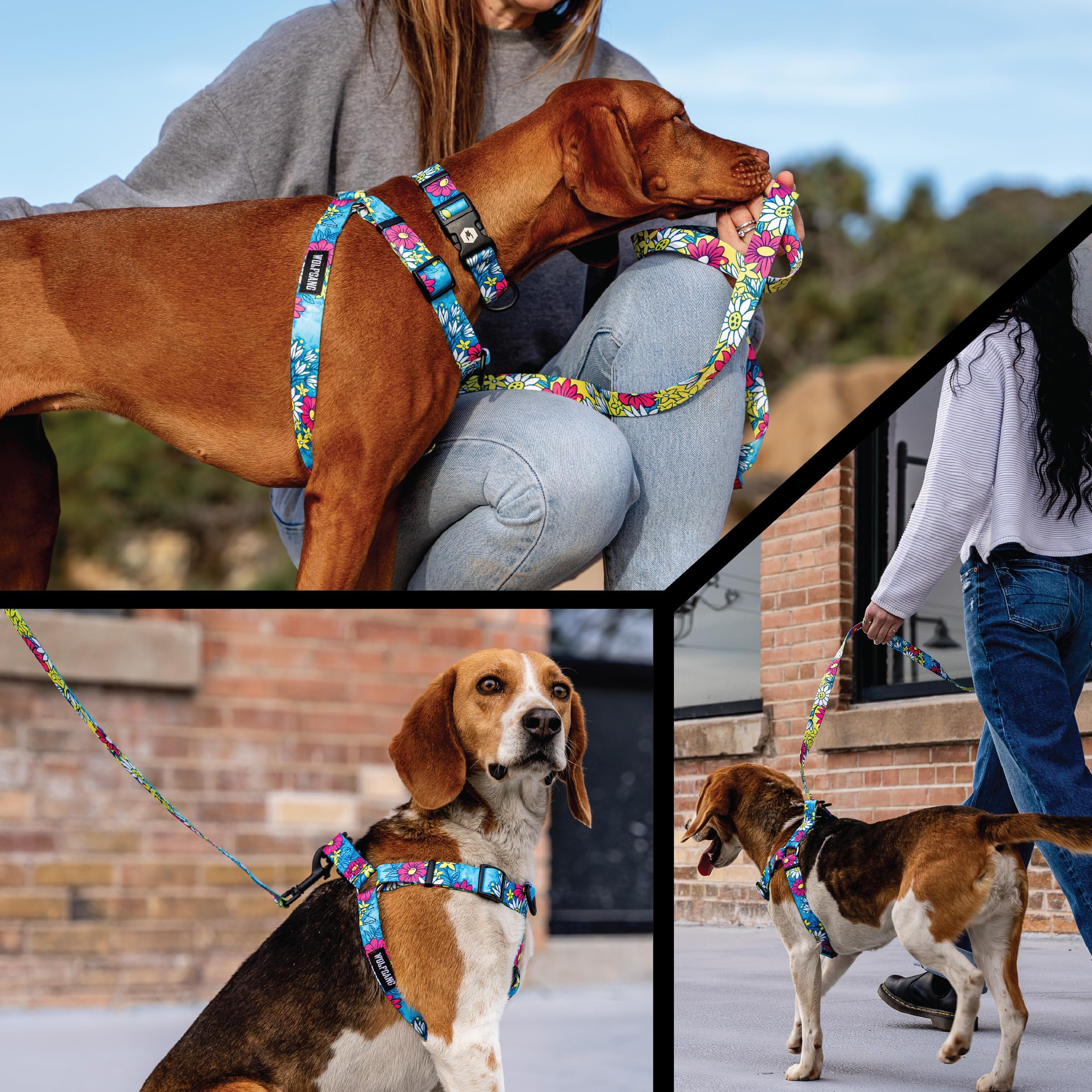 Wolfgang - Arnés Ajustable para Perro, Resistente y Probado a más de 800 Libras, para Caminar y Entrenar, Estampado LazyDaisy, Talla M