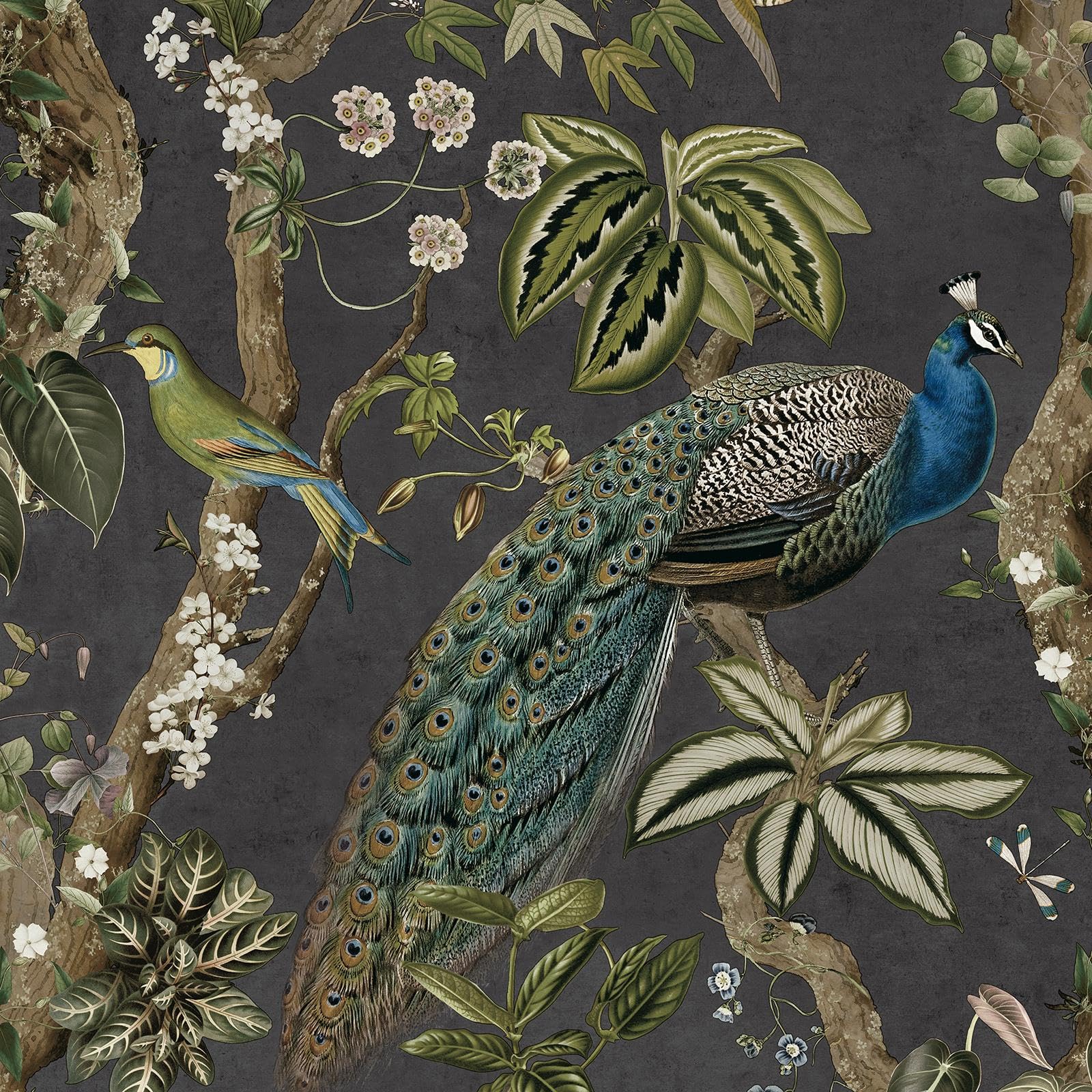 Holden Decor Peacock Woods Charcoal Wallpaper - Grey Paper 10m x 53cm - Offset Match