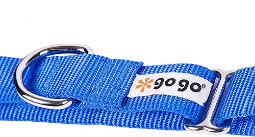Vista 63 de GoGo Pet Products GoGo - Collar de perro Martingala de 3/8 pulgadas, talla XS, color naranja