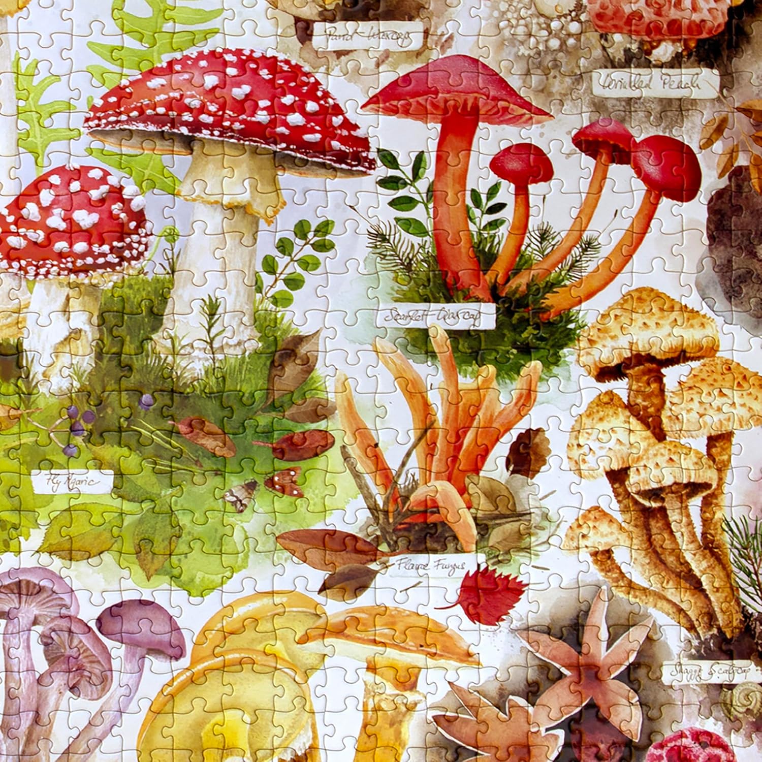 eeBoo 1000 Piece Puzzle - Bountiful Mushrooms Jigsaw Puzzle for Adults, Square 23" x 23" Made with Recycled Board & Vegetable-Based Ink