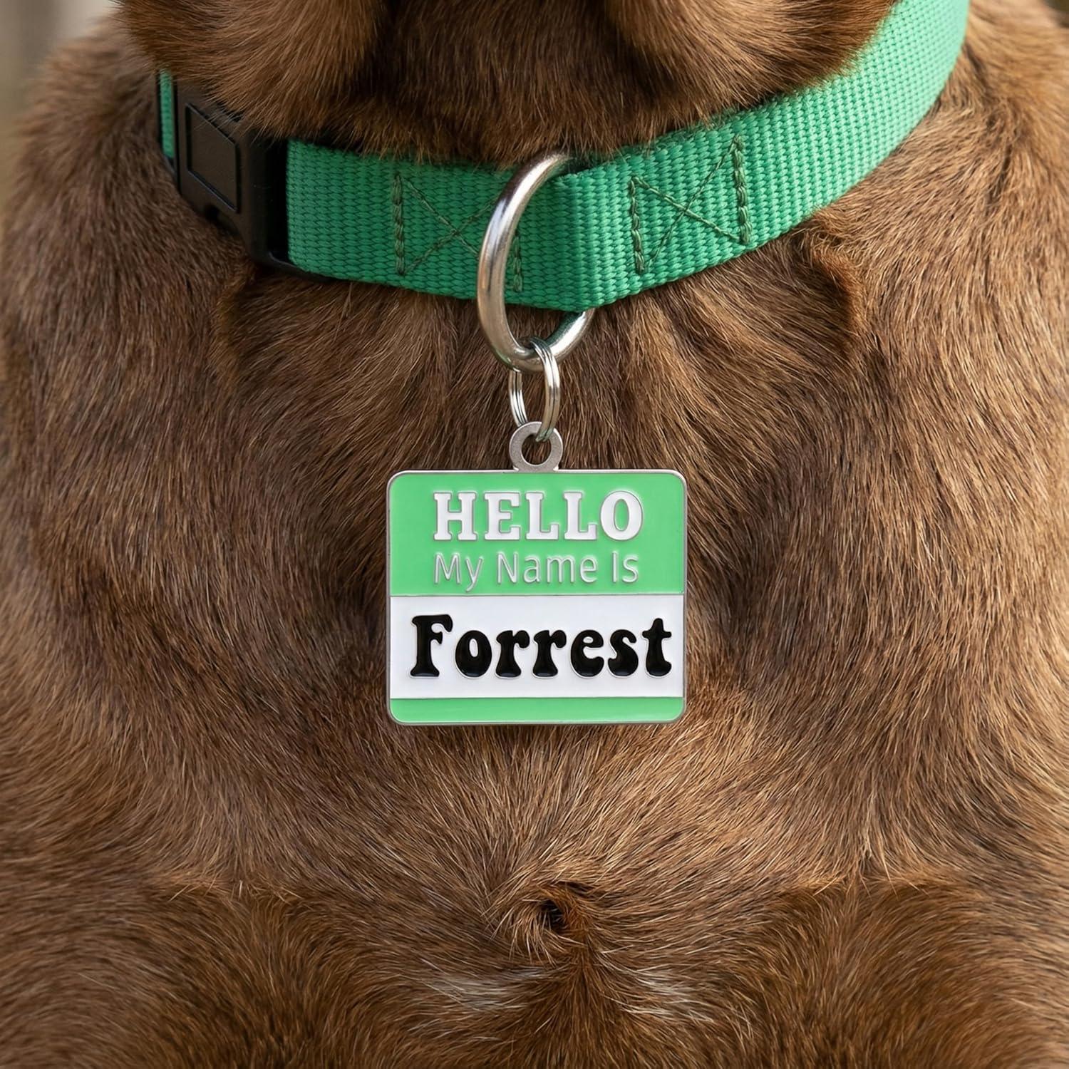 Bad Tags Personalized Dog and Cat Name Tags - Custom Engraved on Both Sides - Funny Cute Dog Tags Personalized for Pets (Hello My Name is Badge - Green, Small (1 inch))