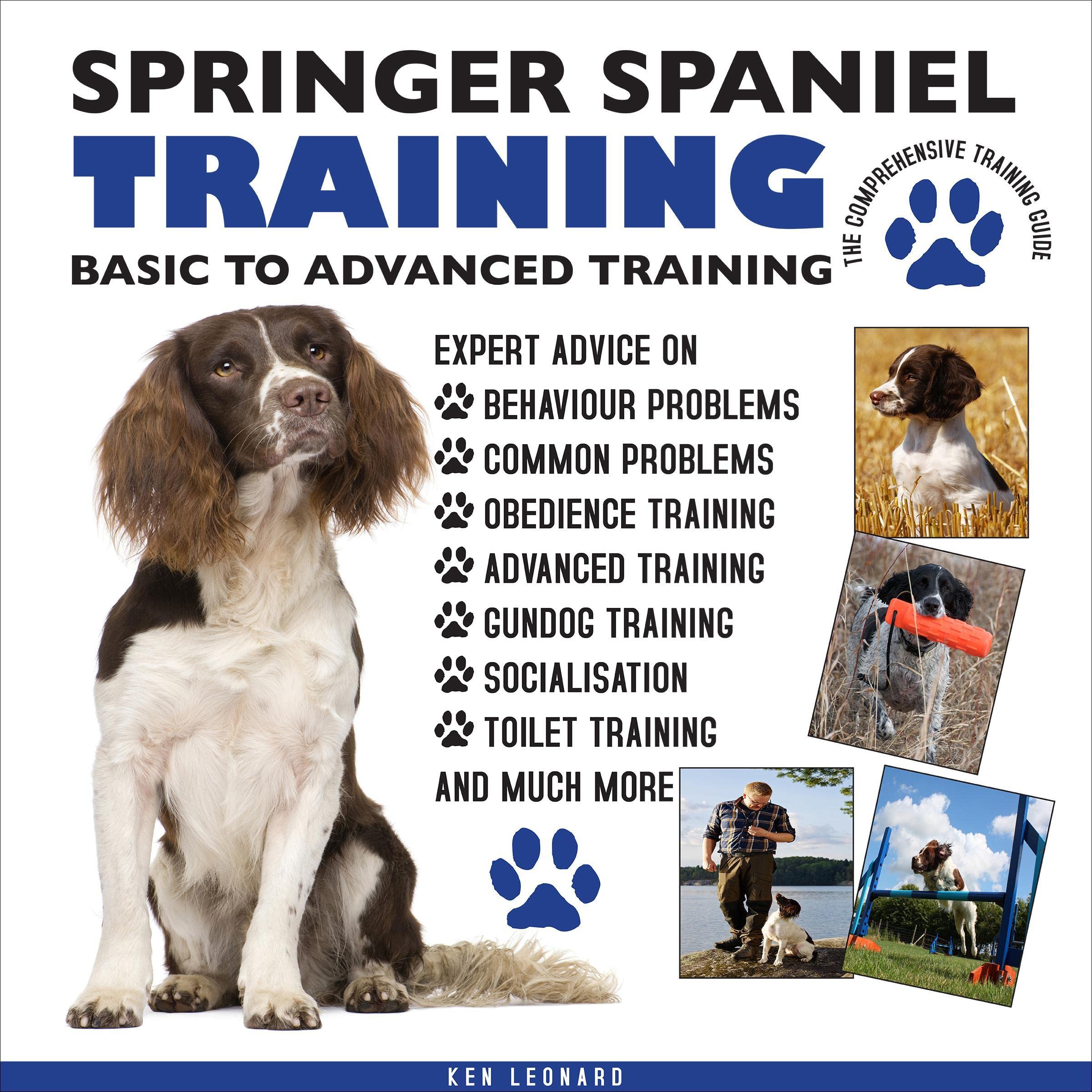 Springer Spaniel Training: Basic to Advanced Training