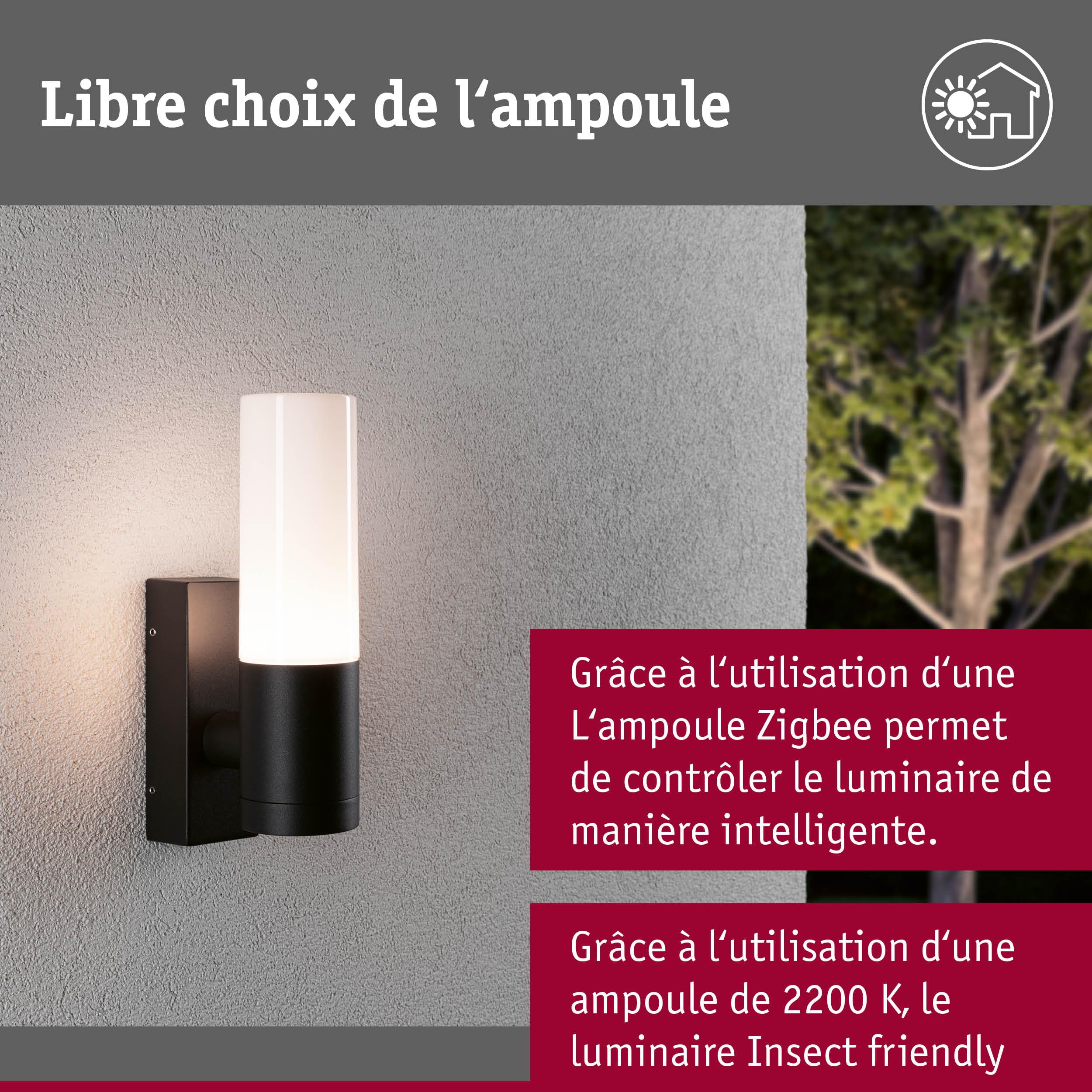 Paulmann 94787 applique d'extérieur Tralia IP44 max. 10W 250 mm Anthracite aluminium E27 - Luminaire d'extérieur sans ampoule