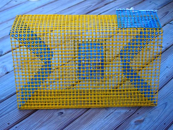 Baitfish & Pinfish Traps Durable Wire Fishing Traps Multiple Mesh Sizes, Trap Sizes & Buoy Kit Options