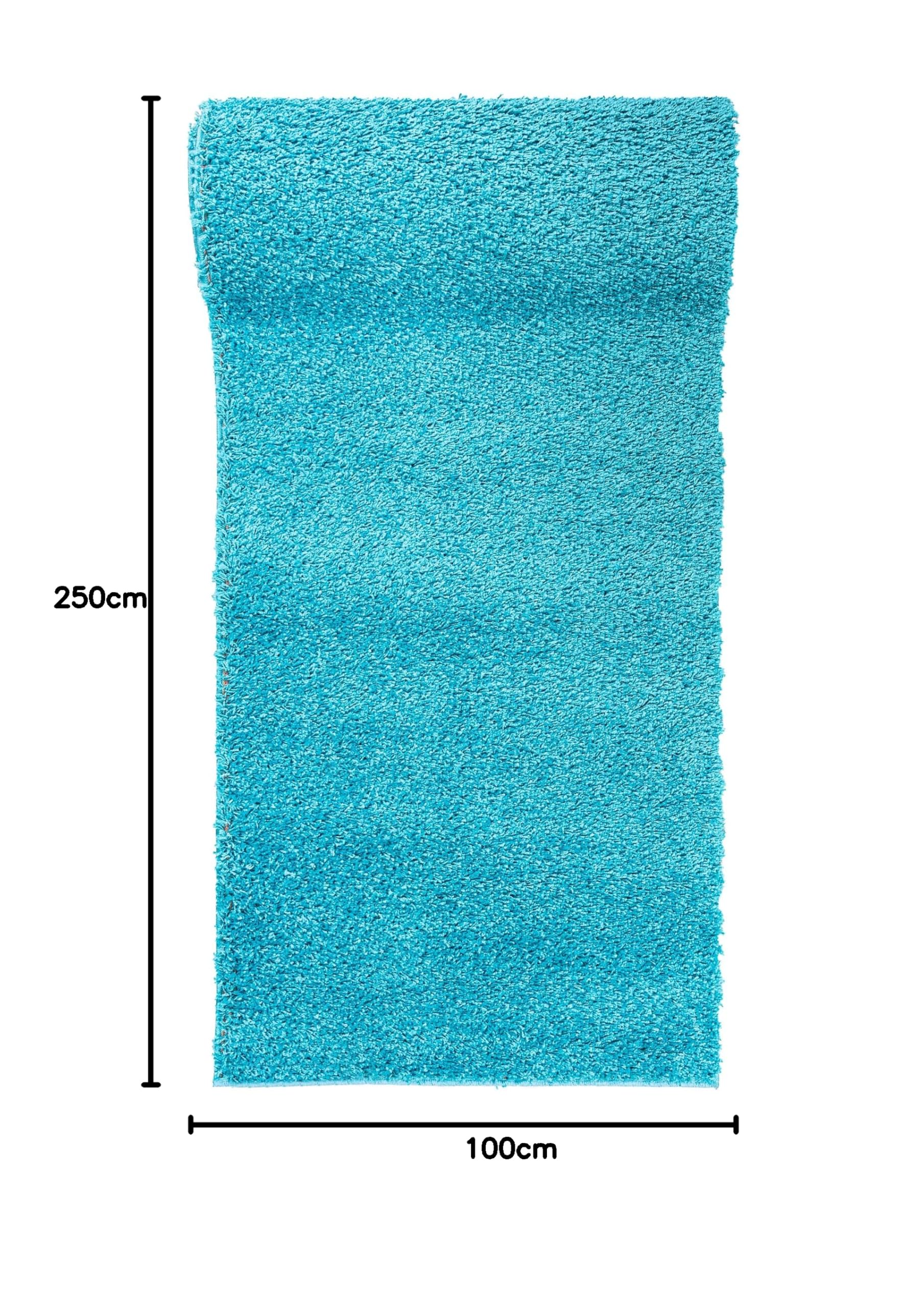 Mazovia Tappeto Lavabile a Pelo Longo - Shaggy Tappeto per Cucina Moderni - Tappeto Corridoio - Tappeto Passatoia Cucina - Tappeti Cucina - Turchese Acqua 100 x 250 cm