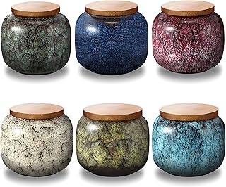 Domensi Mini urnas para cinzas humanas, conjunto de 6 com tampas, memorial, pequenas urnas lembranças, recipiente vintage, jarra de cerâmica decorativa para armazenamento, honre seu ente querido