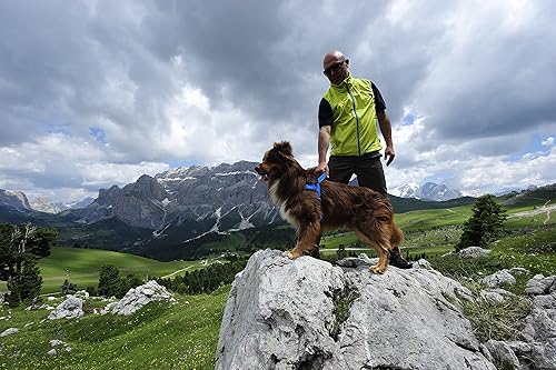 Miniatura 2 de Neewa Arnés deportivo (S, amarillo), arnés acolchado para perro, con asa de control, fácil de poner y quitar