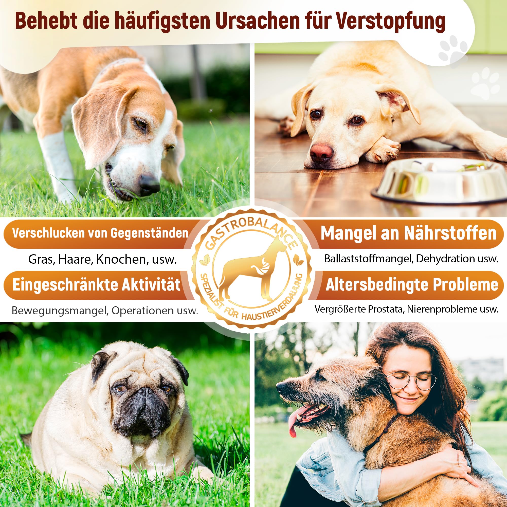 Linderung Von Verstopfung beim Hund – 60 weichen Kausnacks Abführmittel für Hunde 100% natürliche Wirkstoffe (Sapore di Pancetta)