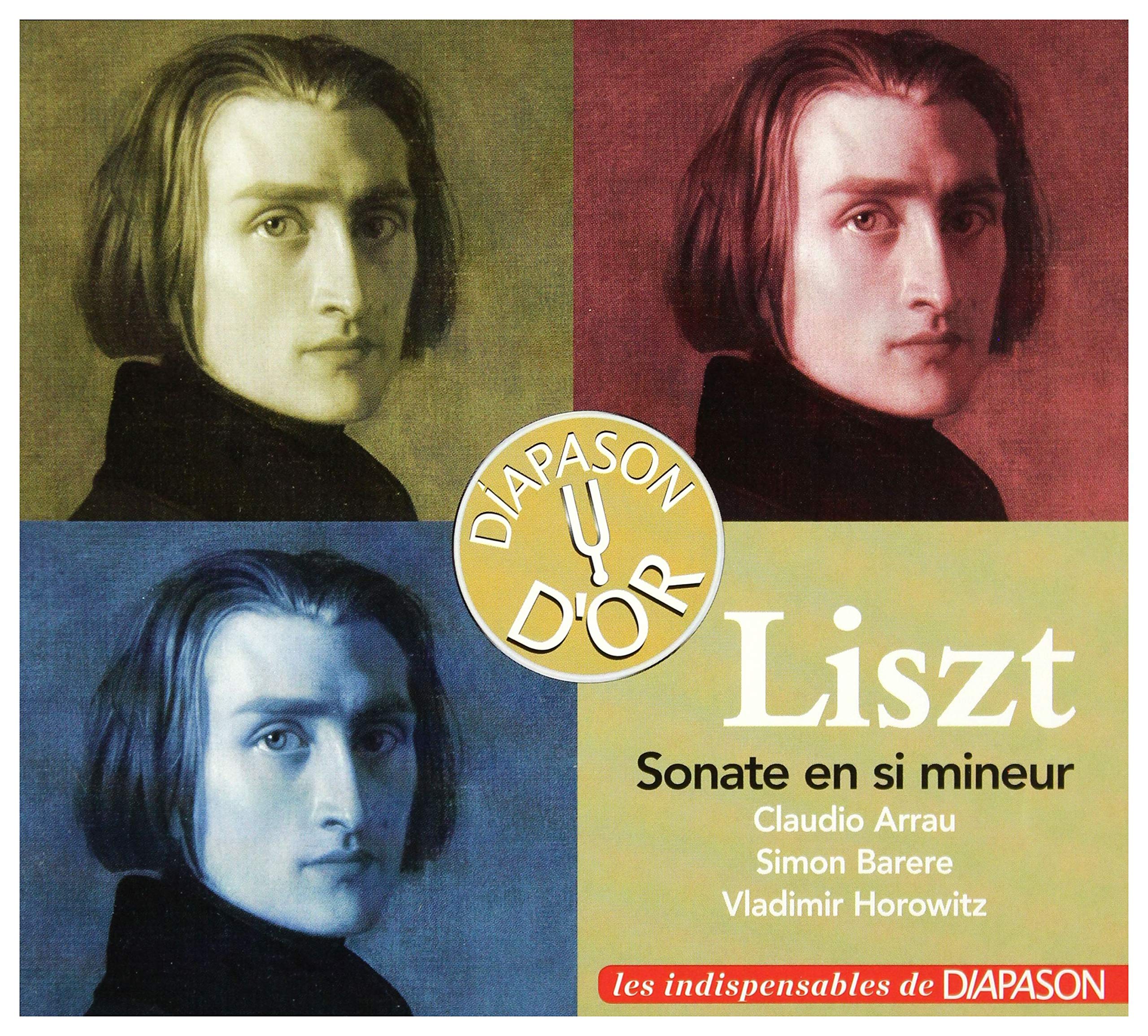 Sonate pour Piano en Si Mineur