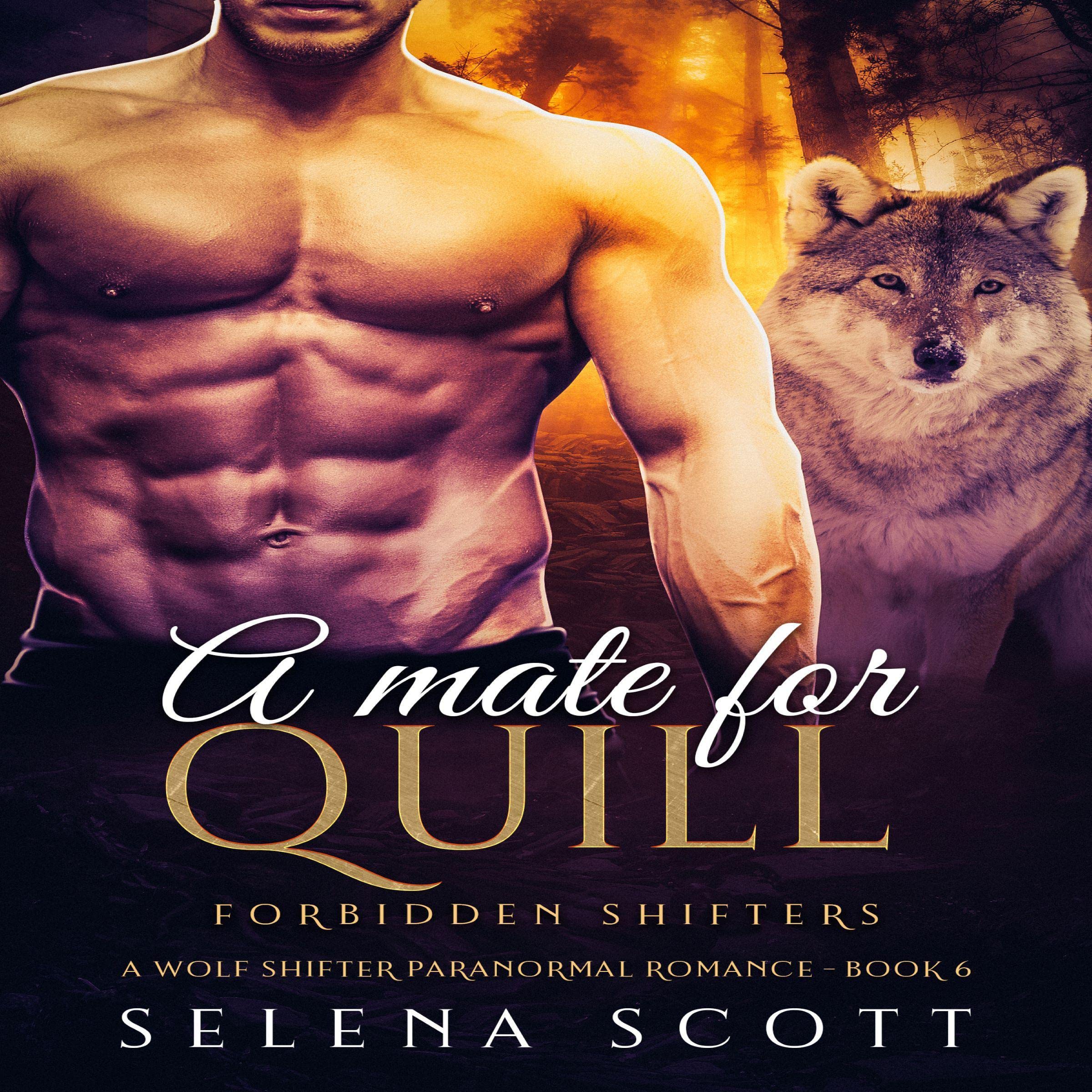 Cover art for A Mate for Quill