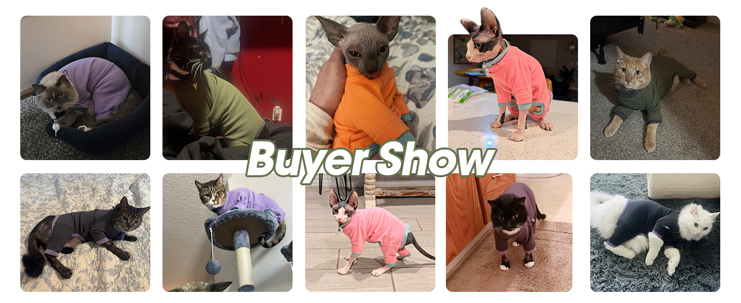 Amazon.com : Sticky Cat Clothes Stretchy, Sphynx Hairless Sweater