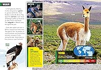 Vista 2 de Bolivia (Country Profiles)