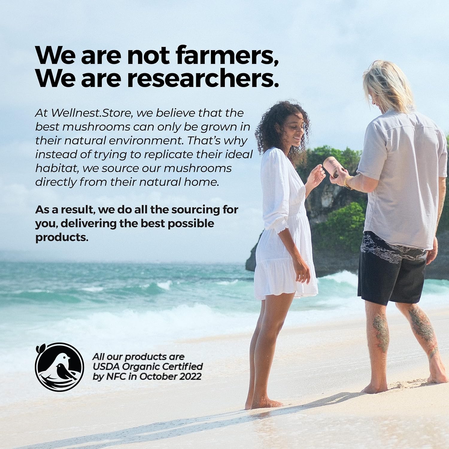 Wellnest.Store Turkey Tail Organic Mushroom (Trametes Extract) 60 Veggie Caps - Immune Support Supplement; Promotes Growth of Beneficial Bacteria in The Gut + Boosts Energy - Image 6