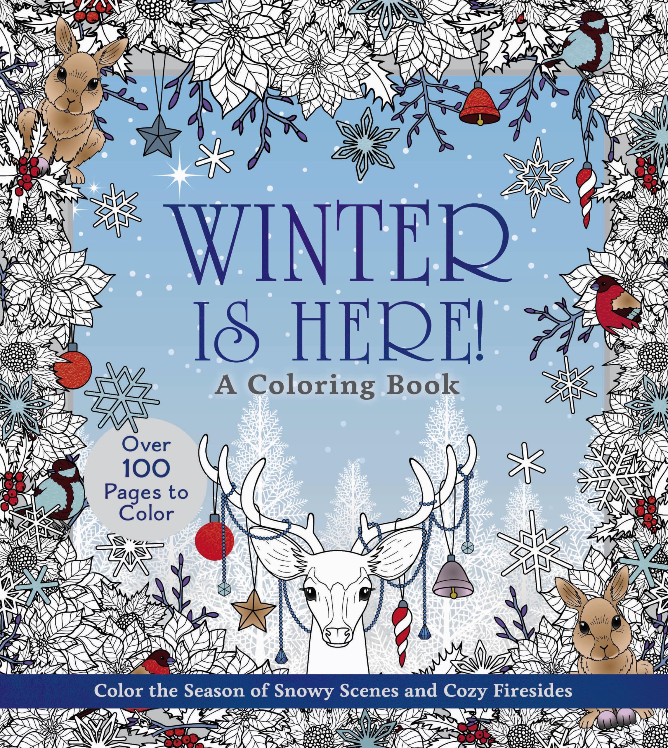 Winter Is Here Coloring Book