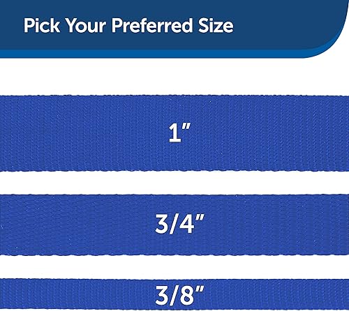 Miniatura 5 de Correa PetSafe para mascota, Azul Royal