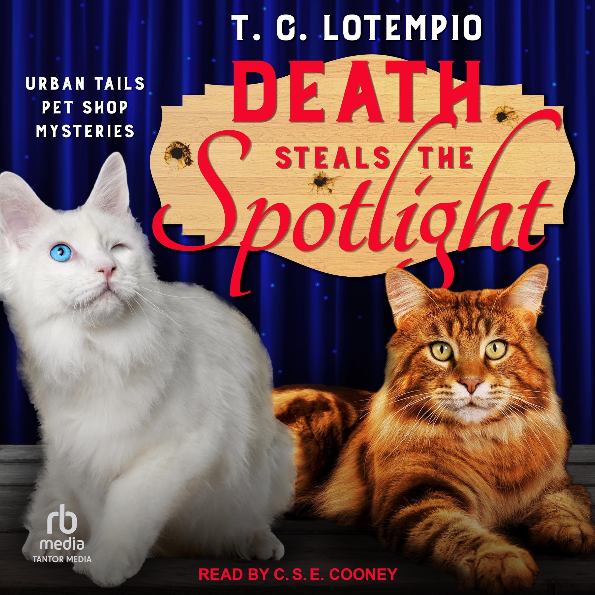 Cover art for Death Steals the Spotlight