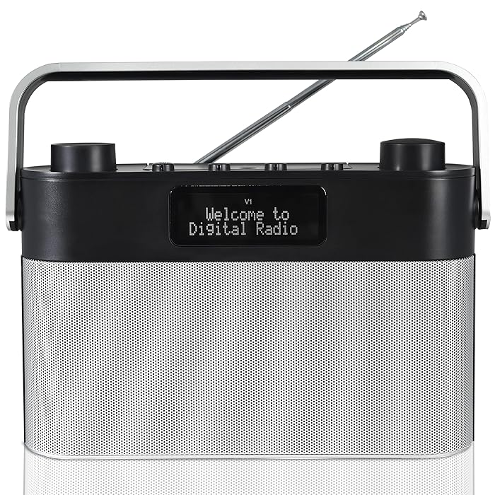 Buy Silver Server Portable DAB FM Radio with Large Display & Controls, Voice Prompts and