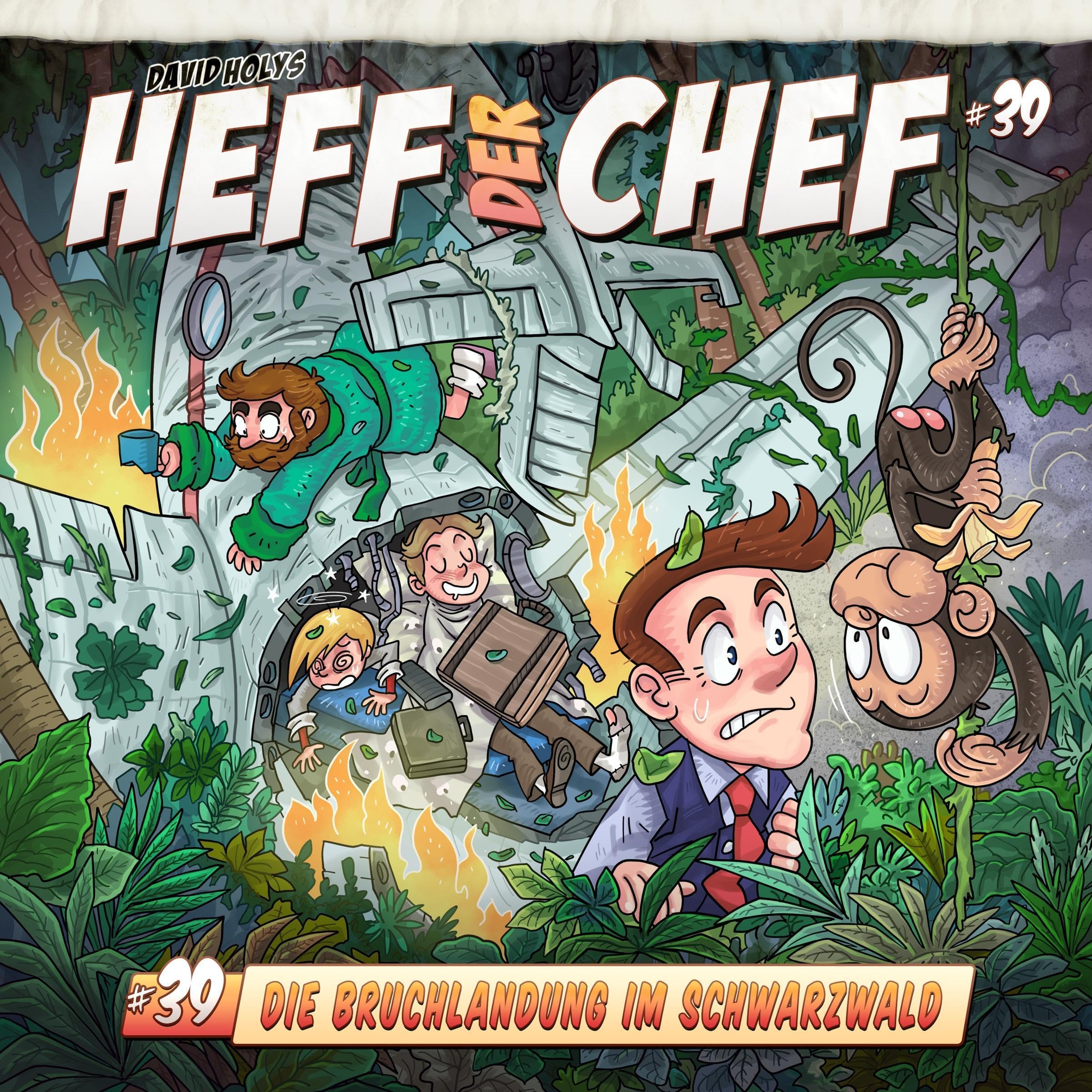 Die Bruchlandung im Schwarzwald