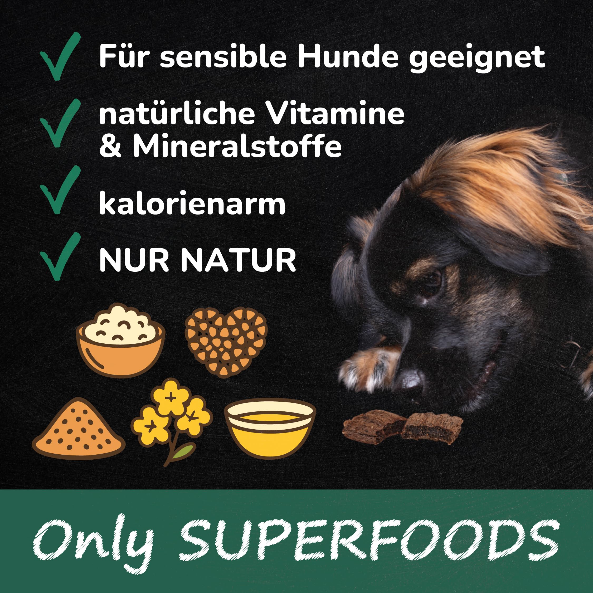 QCHEFS Glückskiste Dose Geschenk Hund Zahnpflege gegen Zahnstein Mundpflege | Mit Natur Zahnpflege, Auch gegen Zahnstein und Entzündungen