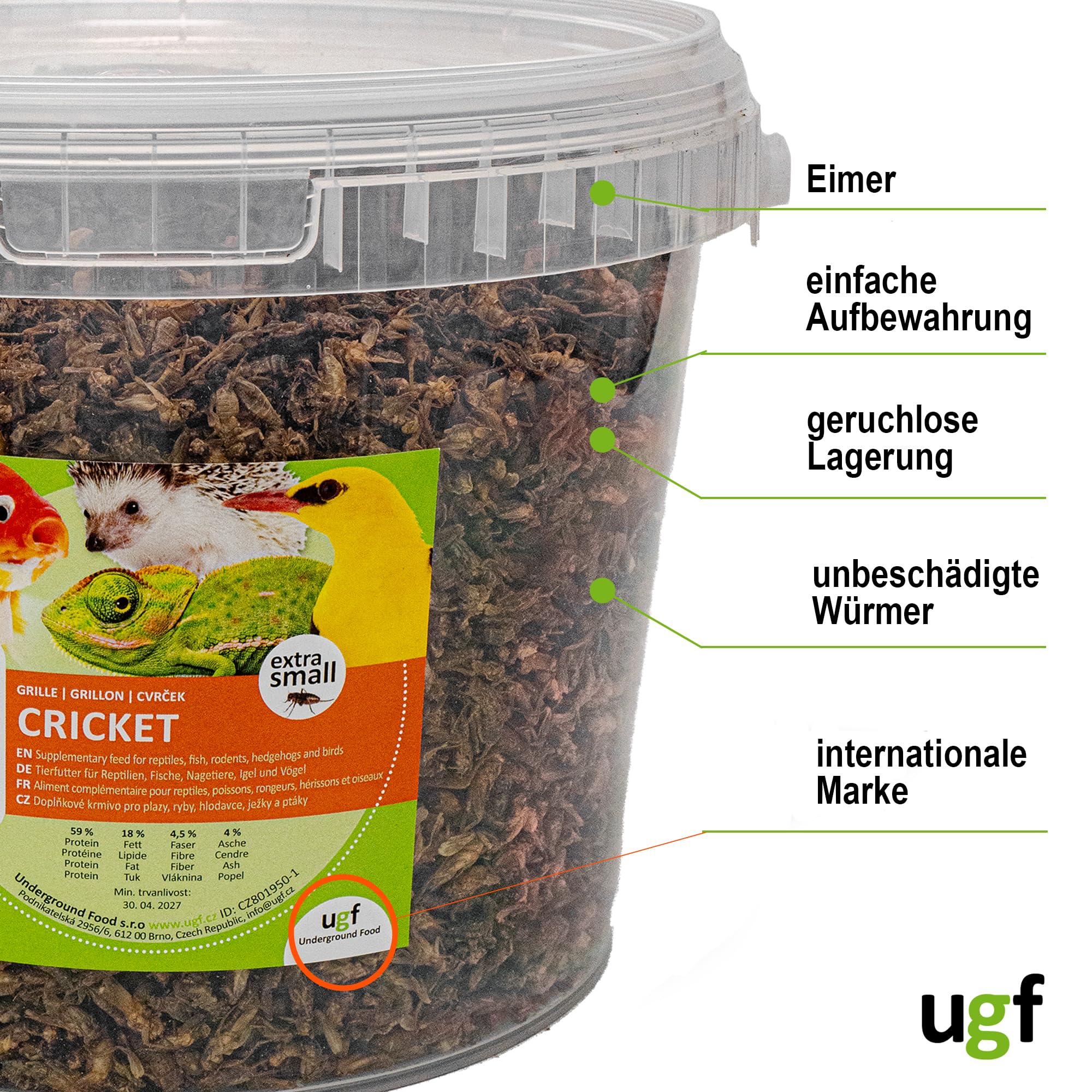 UGF - Suszone małe świerszcze - 400 g w wiaderku 3-litrowym, Owady świerszczowe, Karma dla ptaków dzikich (całoroczna), Karma dla żółwi, Karma dla jeży, Karma dla jaszczurek, Karma dla ryb
