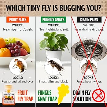 91m1WyiTCNL._AC_UF350,