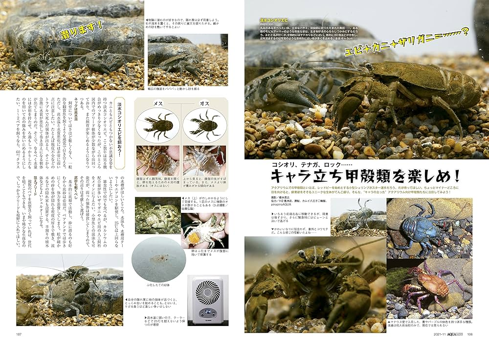 AQUA LIFE 2020年5月号・11月号 AQUA LIFE 2020年5月号・11月号