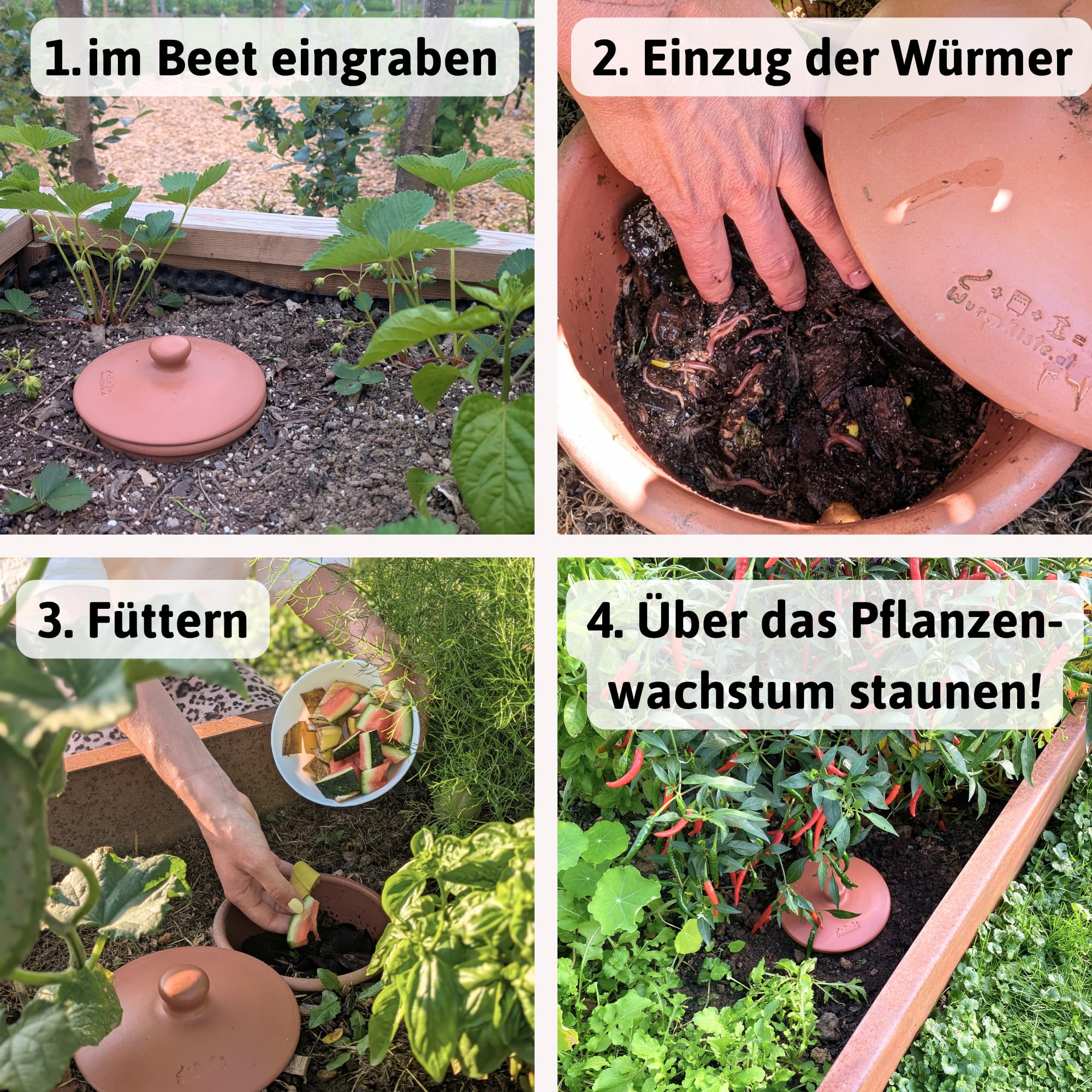 5L Wurmvase aus Ton | Beetkomposter Starterset inkl. 250 Kompostwürmer
