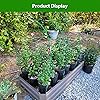 Product Photo 7