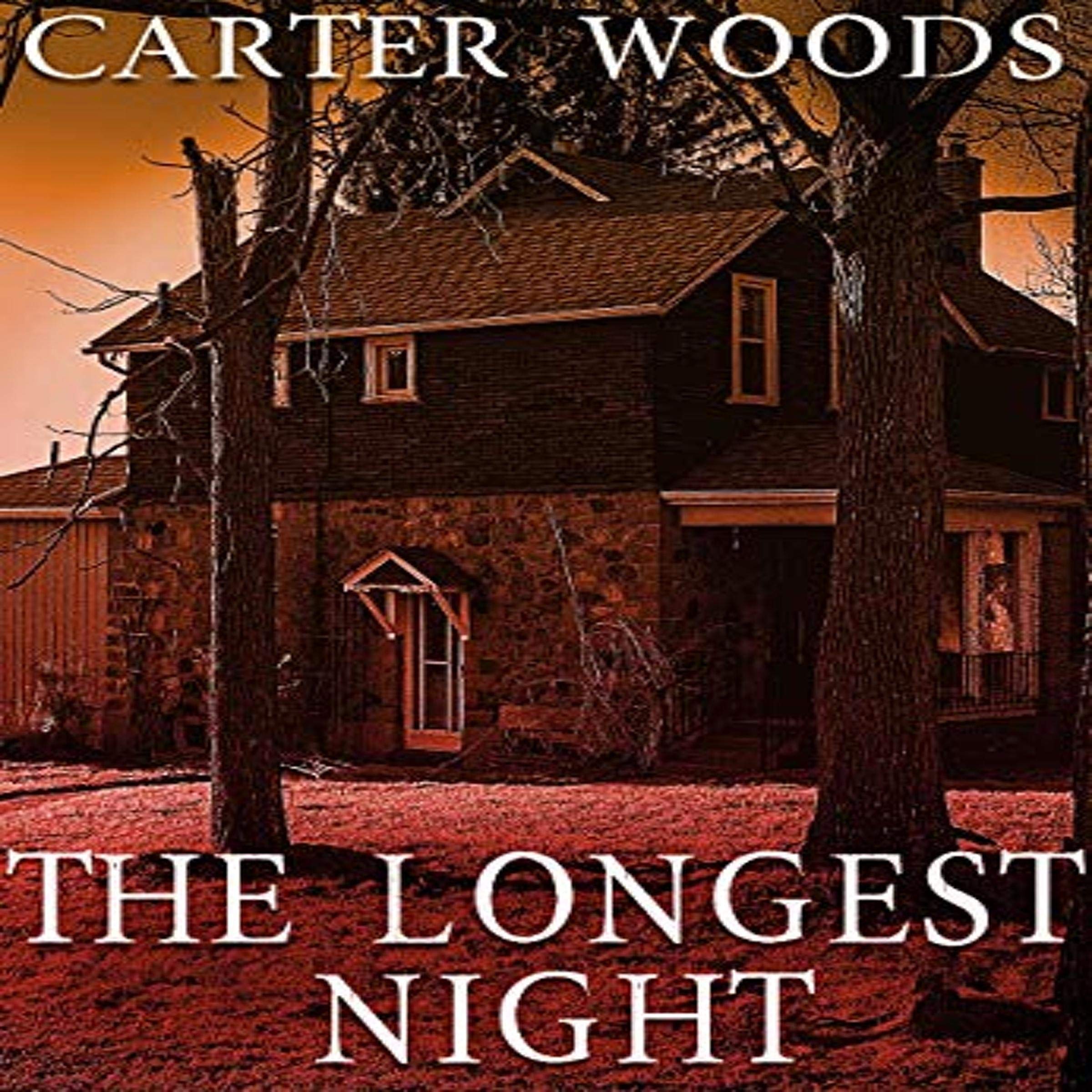 Cover art for The Longest Night: EMP Survival in a Powerless World Series, Book 20