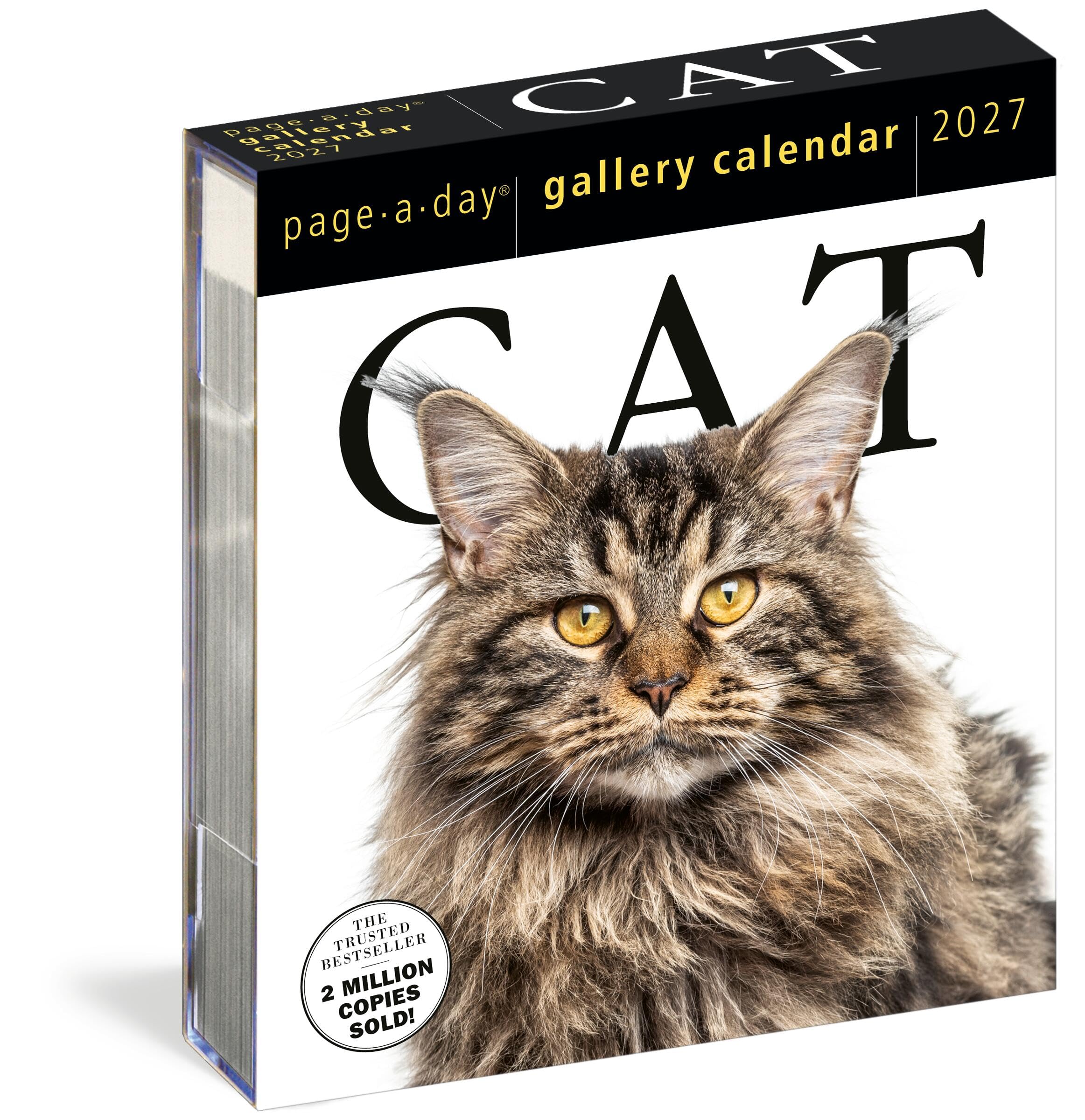 Cat Page-A-Day® Gallery Calendar 2027: A Delightful Gallery of Cats for Your Desktop