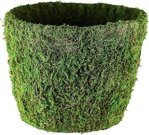 122712070 Agatha - Maceta de musgo, color verde disponible en Yaxa Venezuela