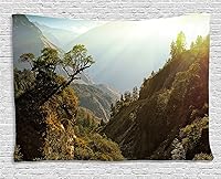 Vista 68 de Ambesonne Tapiz de palmera, impresión de imagen de atardecer tropical, estilo vintage, playa de verano, para colgar en la pared para dormitorio