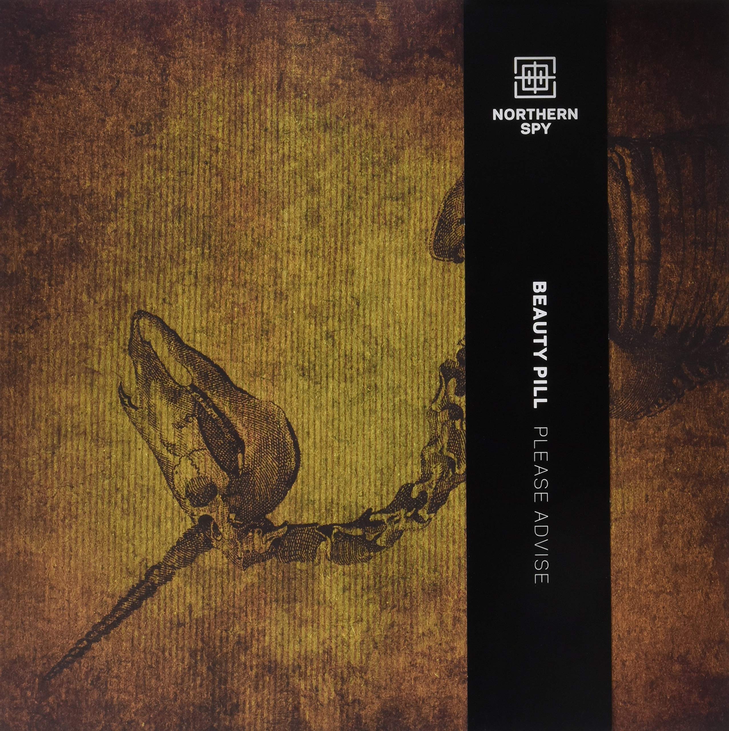 Please Advise [VINYL] [Vinyl LP]