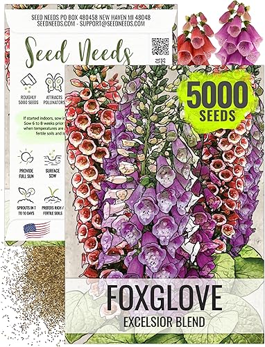 Seed Needs Excelsior Mix Fox Glove - Semillas de dedalera para plantar un jardín de mariposas al aire libre con coloridas flores silvestres (paquete